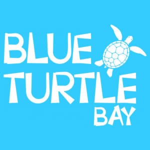 FONDATION BLUE TURTLE
